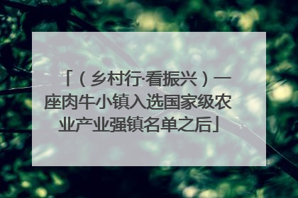 （乡村行·看振兴）一座肉牛小镇入选国家级农业产业强镇名单之后