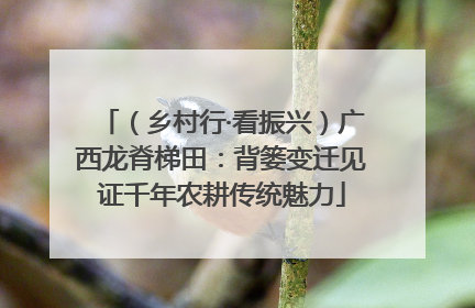 （乡村行·看振兴）广西龙脊梯田：背篓变迁见证千年农耕传统魅力