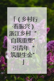 （乡村行·看振兴）浙江乡村“自我重塑” 引青年“筑巢生金”
