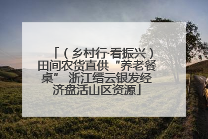 （乡村行·看振兴）田间农货直供“养老餐桌” 浙江缙云银发经济盘活山区资源