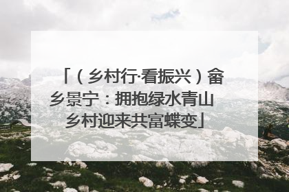 （乡村行·看振兴）畲乡景宁：拥抱绿水青山 乡村迎来共富蝶变