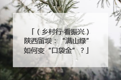 （乡村行·看振兴）陕西留坝：“满山绿”如何变“口袋金”？