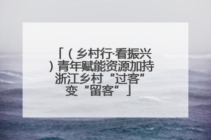 （乡村行·看振兴）青年赋能资源加持 浙江乡村“过客”变“留客”