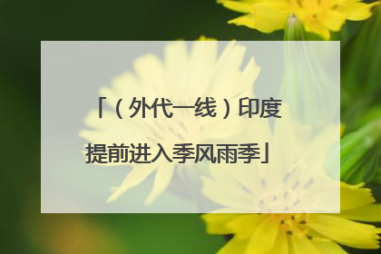 （外代一线）印度提前进入季风雨季