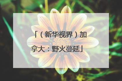 （新华视界）加拿大：野火蔓延