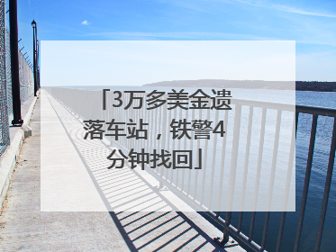3万多美金遗落车站，铁警4分钟找回
