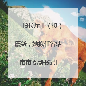 3位厅干（拟）履新，她拟任省辖市市委副书记