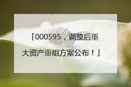 000595，调整后重大资产重组方案公布！