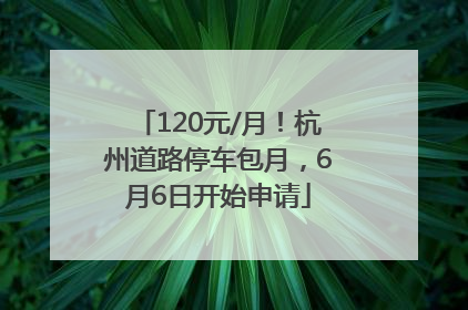 120元/月！杭州道路停车包月，6月6日开始申请
