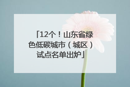 12个！山东省绿色低碳城市（城区）试点名单出炉