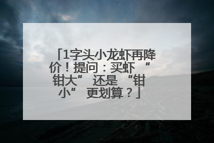 1字头小龙虾再降价！提问：买虾 “钳大” 还是 “钳小” 更划算？