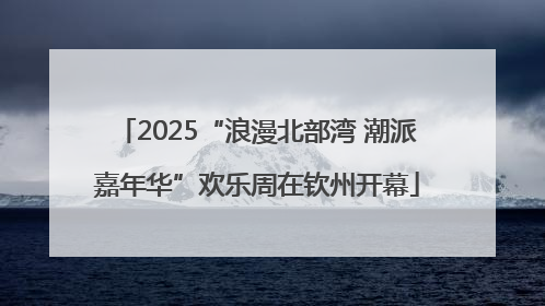 2025“浪漫北部湾 潮派嘉年华”欢乐周在钦州开幕