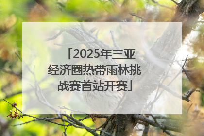 2025年三亚经济圈热带雨林挑战赛首站开赛