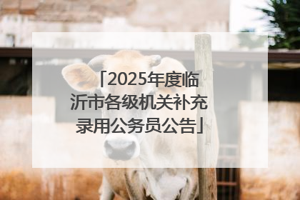 2025年度临沂市各级机关补充录用公务员公告