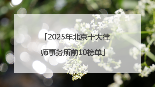 2025年北京十大律师事务所前10榜单