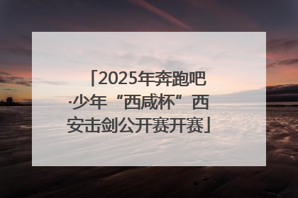 2025年奔跑吧·少年“西咸杯”西安击剑公开赛开赛