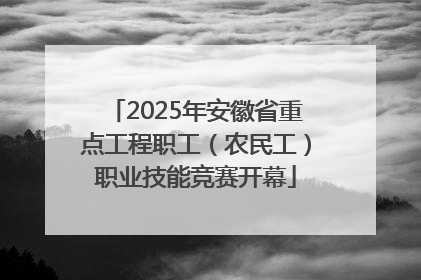 2025年安徽省重点工程职工(农民工)职业技能竞赛开幕