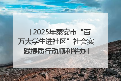 2025年泰安市“百万大学生进社区”社会实践提质行动顺利举办