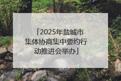 2025年盐城市集体协商集中要约行动推进会举办