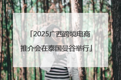 2025广西跨境电商推介会在泰国曼谷举行