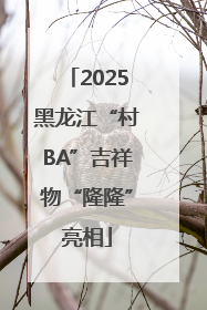 2025黑龙江“村BA”吉祥物“隆隆”亮相