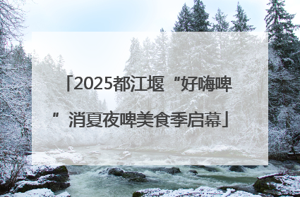 2025都江堰“好嗨啤”消夏夜啤美食季启幕