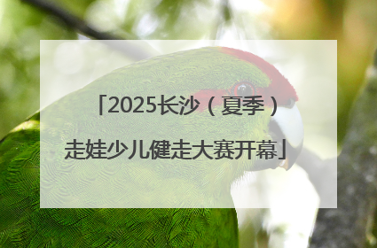 2025长沙（夏季）走娃少儿健走大赛开幕
