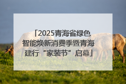 2025青海省绿色智能焕新消费季暨青海建行“家装节”启幕