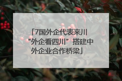 7国外企代表来川 “外企看四川”搭建中外企业合作桥梁