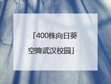 400株向日葵空降武汉校园