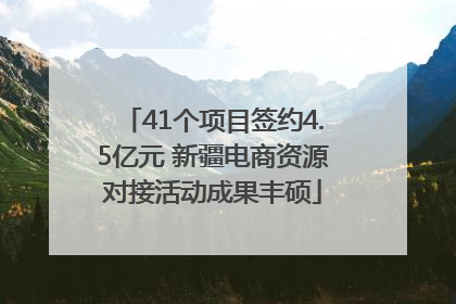 41个项目签约4.5亿元 新疆电商资源对接活动成果丰硕