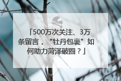 500万次关注、3万条留言，“牡丹包裹”如何助力菏泽破圈？