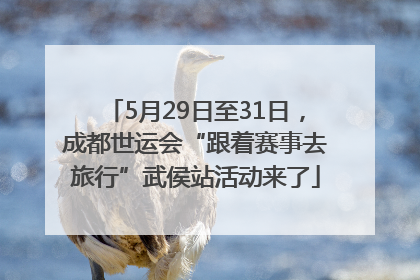 5月29日至31日，成都世运会“跟着赛事去旅行”武侯站活动来了