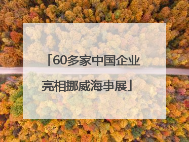 60多家中国企业亮相挪威海事展