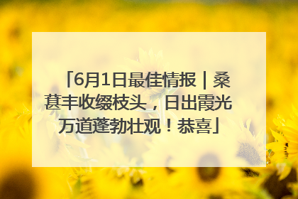 6月1日最佳情报｜桑葚丰收缀枝头，日出霞光万道蓬勃壮观！恭喜