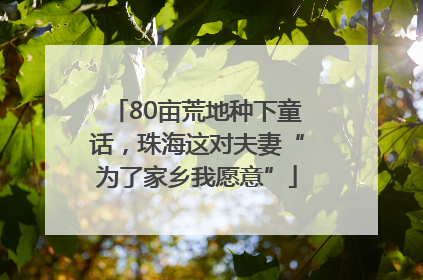80亩荒地种下童话，珠海这对夫妻“为了家乡我愿意”