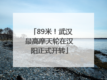 89米！武汉最高摩天轮在汉阳正式开转