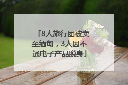 8人旅行团被卖至缅甸，3人因不通电子产品脱身