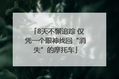 8天不懈追踪 仅凭一个眼神找回“消失”的摩托车