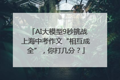 AI大模型9秒挑战上海中考作文“相互成全”，你打几分？