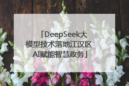 DeepSeek大模型技术落地江汉区 AI赋能智慧政务