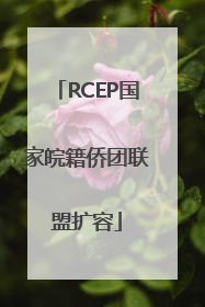RCEP国家皖籍侨团联盟扩容