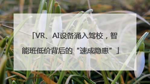 VR、AI设备涌入驾校，智能班低价背后的“速成隐患”