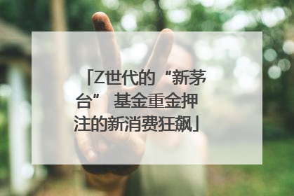 Z世代的“新茅台” 基金重金押注的新消费狂飙